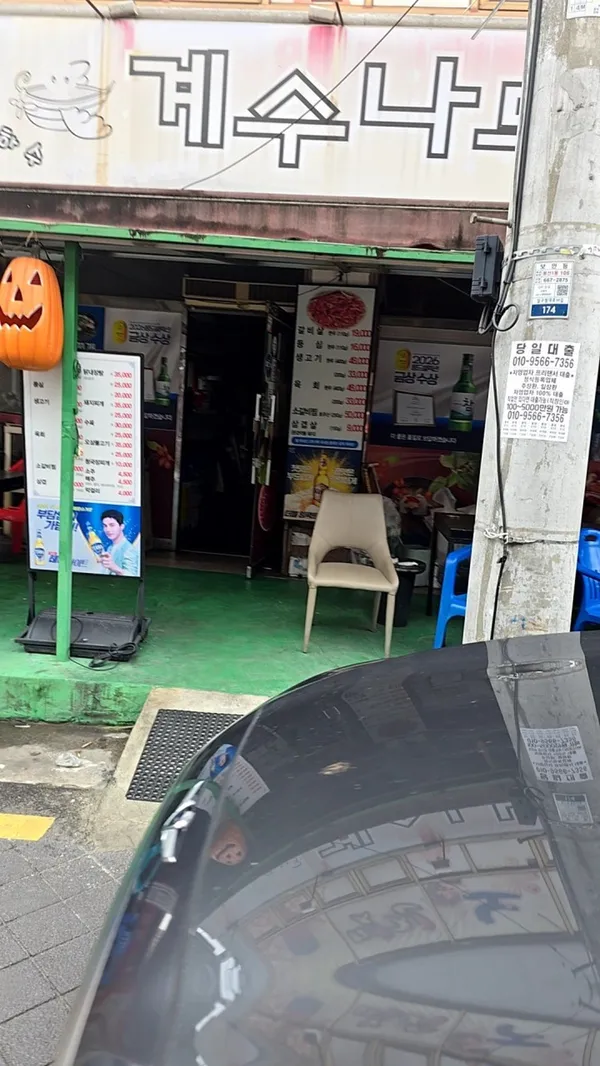 계수나무 사진 3