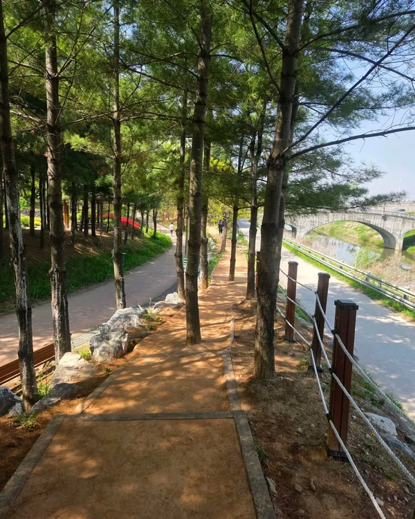 コルポ中央公園の写真2