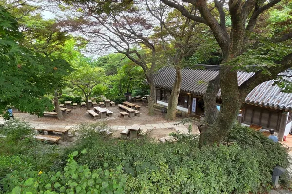죽림다원 사진 2