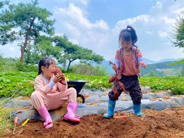 쇠꼴마을 사진 2