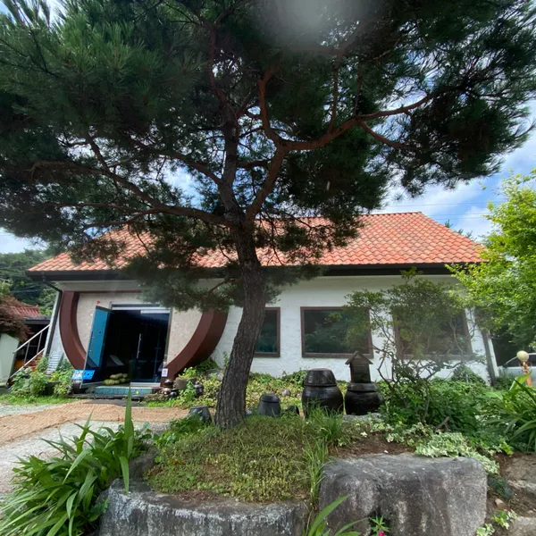 청자연 사진 4