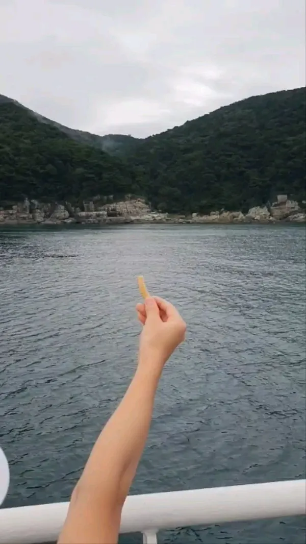 テジョンデ ウンハスユラムソンの写真3