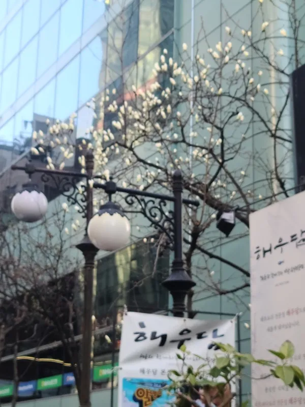 해우담 본점 사진 3