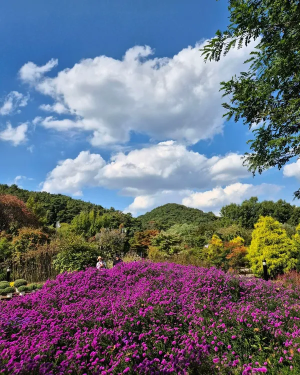 ファソンシ ウリコッ 植物園の写真2