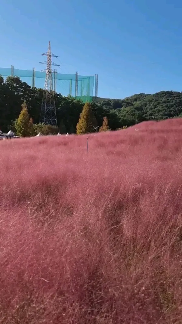 ハプチョンシンソヤン体育公園の写真2