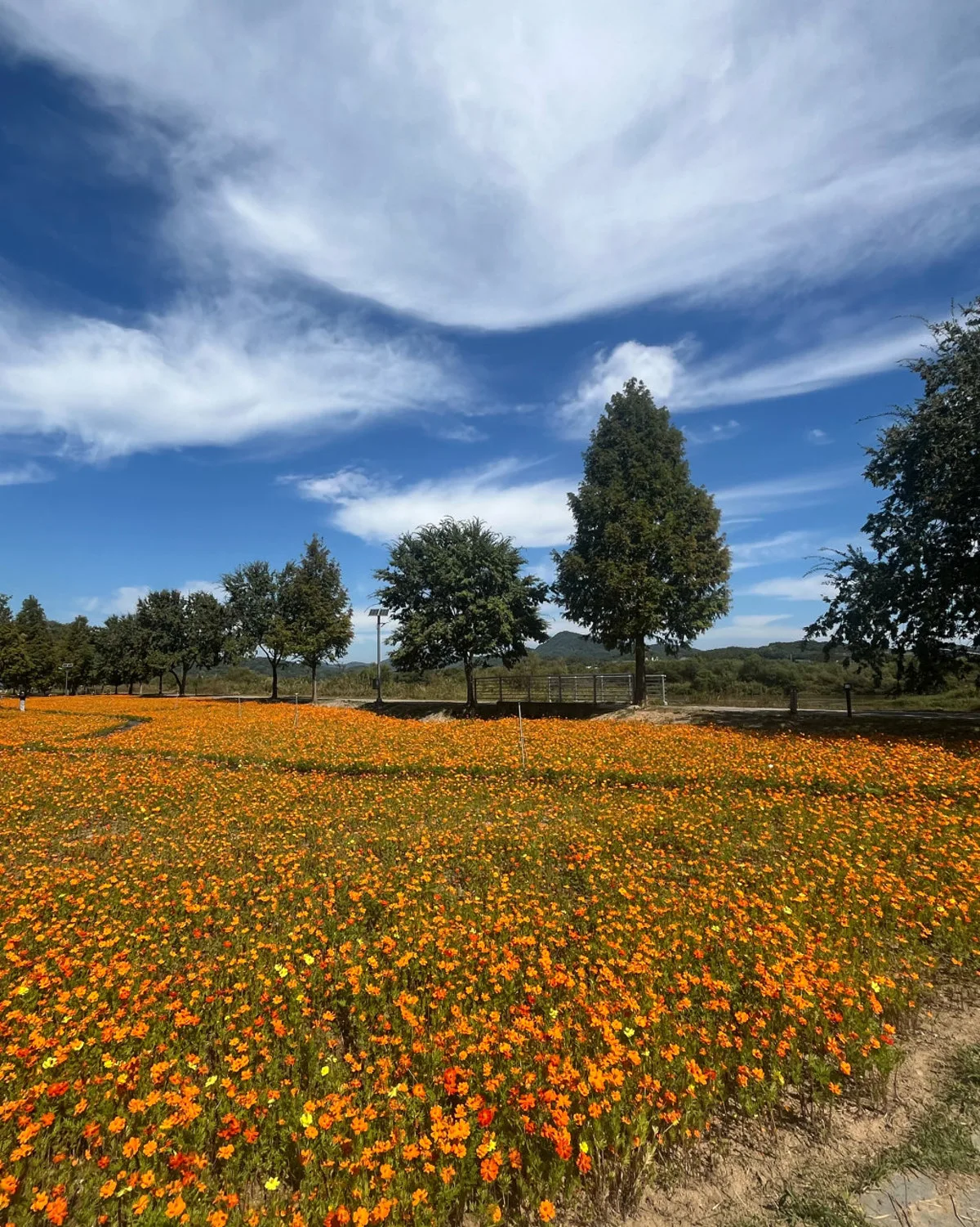 ハプチョンシンソヤン体育公園のメイン写真