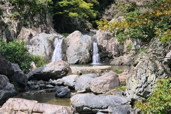 ネヨンサンの写真2
