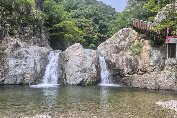 ネヨンサンの写真3