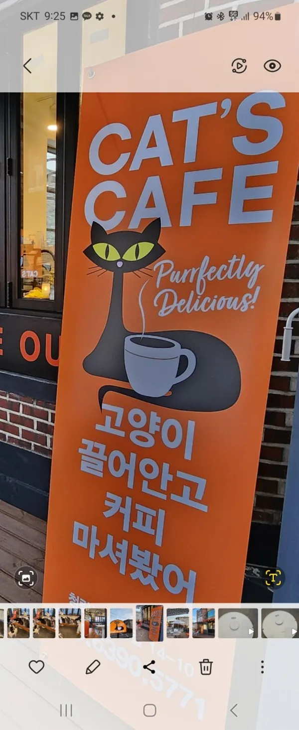 마마스캣카페 사진 5