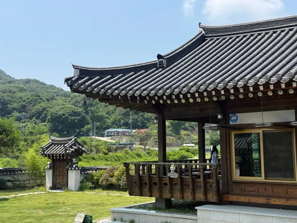 드리우니
