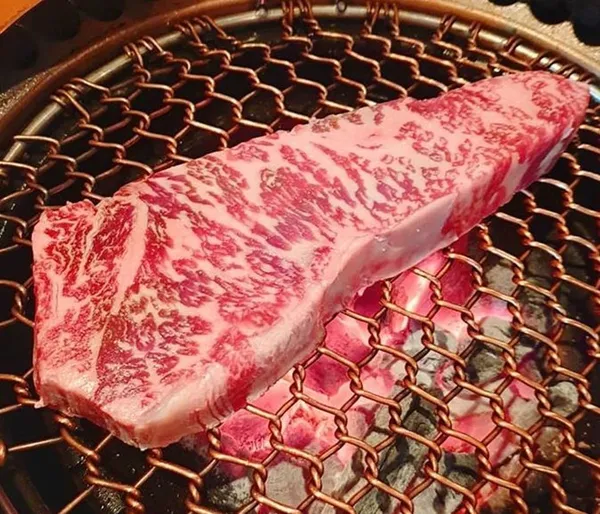 우텐더
