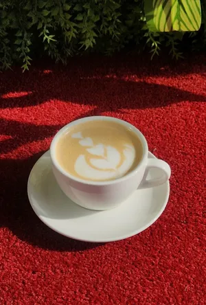 カフェ ナトラーン