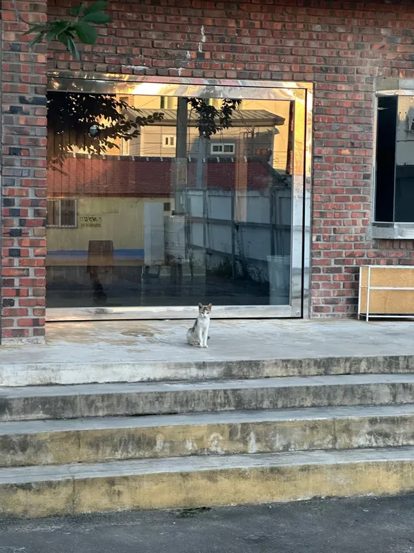 상주장커피 사진 5