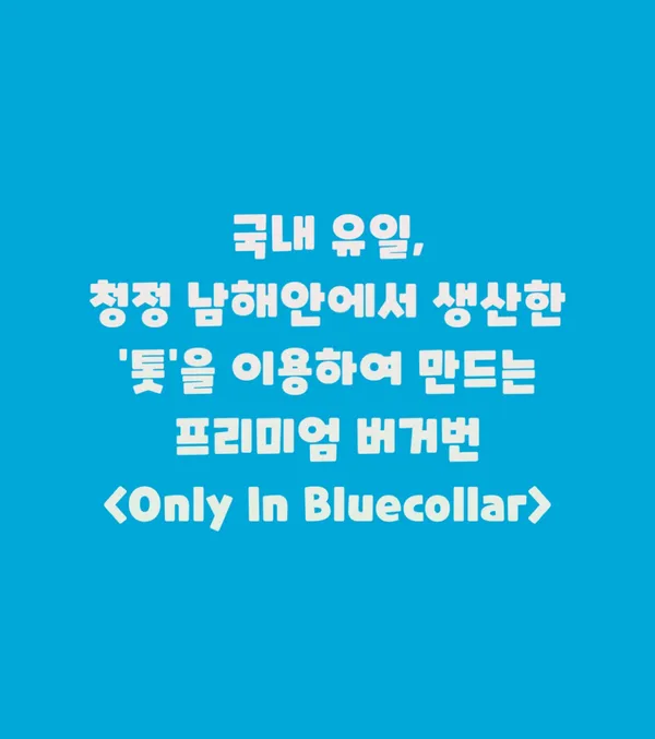 블루칼라 사진 3