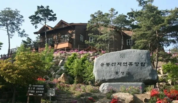 용봉산 자연휴양림 사진 2