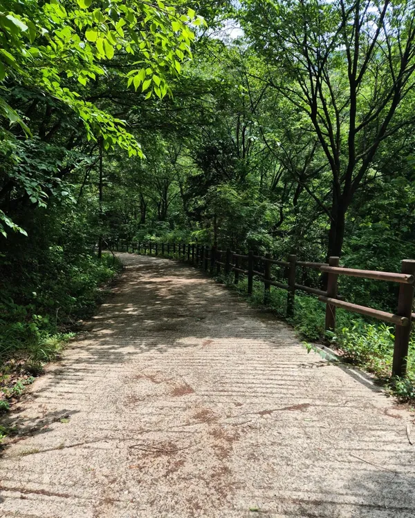 방장산자연휴양림 사진 2