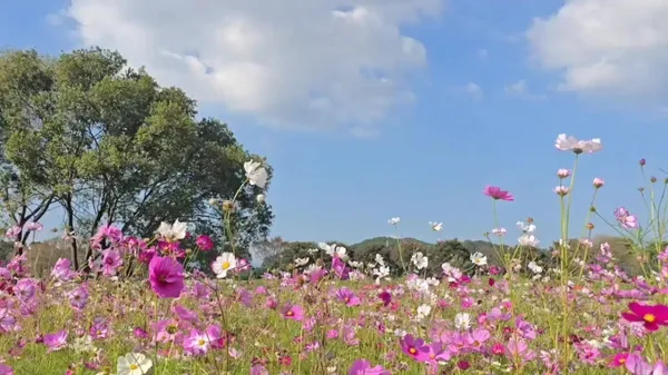 황룡강생태공원