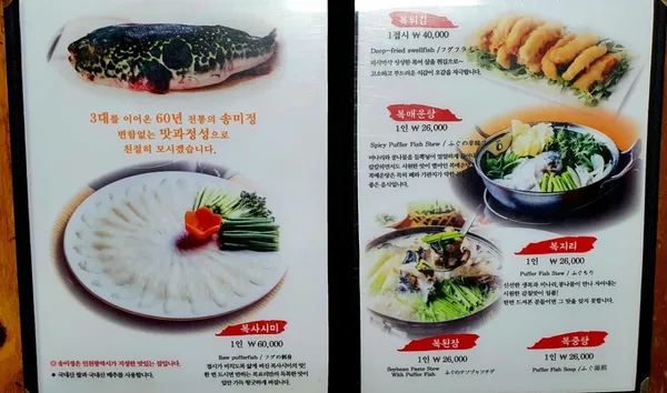 송미옥 사진 5