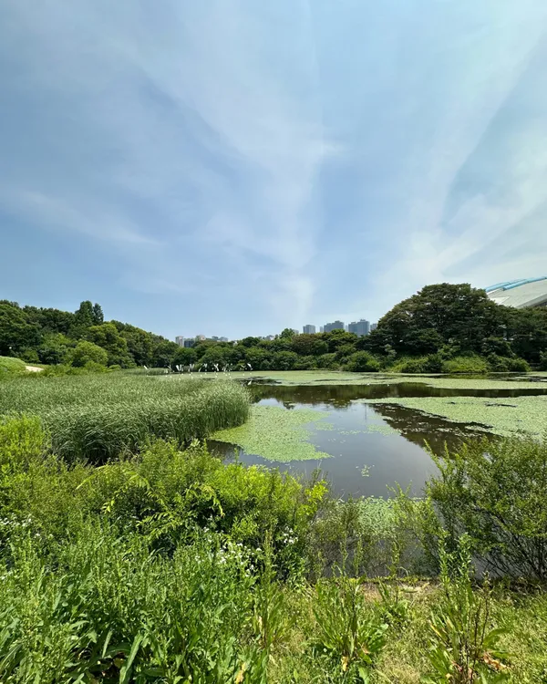 オリンピック公園世界平和の門の写真2