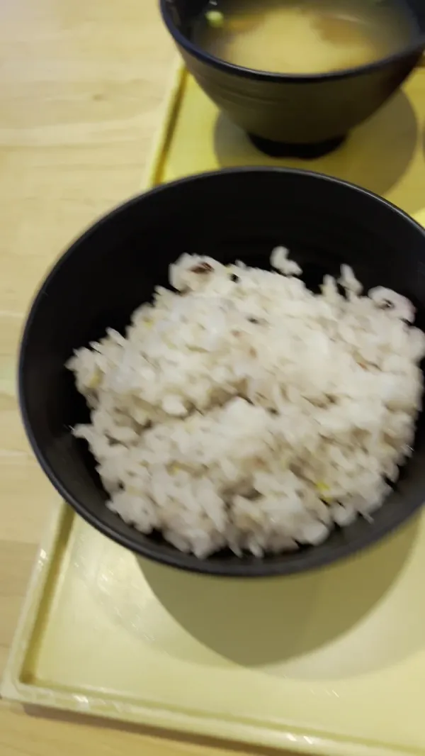 Kyosaimi Nomura 사진 5