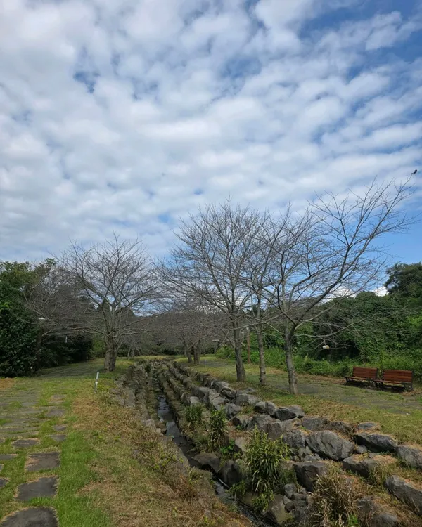 チェジュオルレギル8コスの写真5