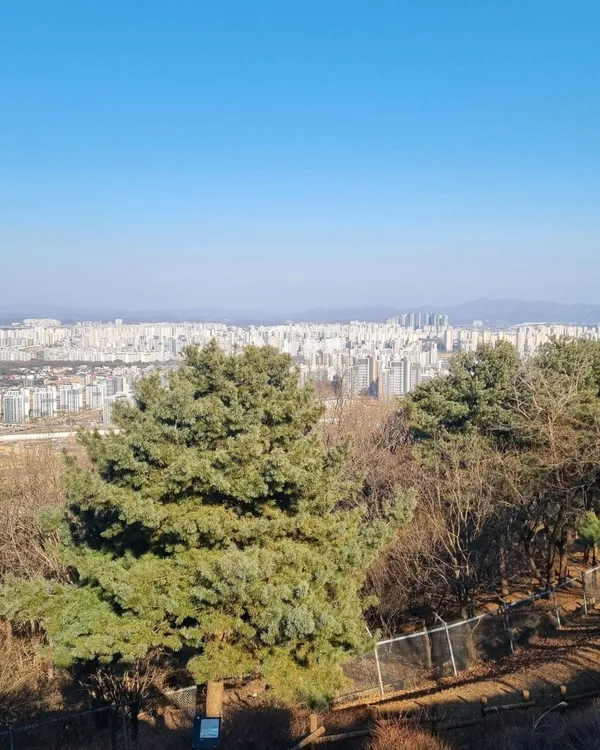심학산둘레길 사진 4