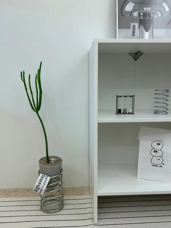 소보로연구소 사진 3