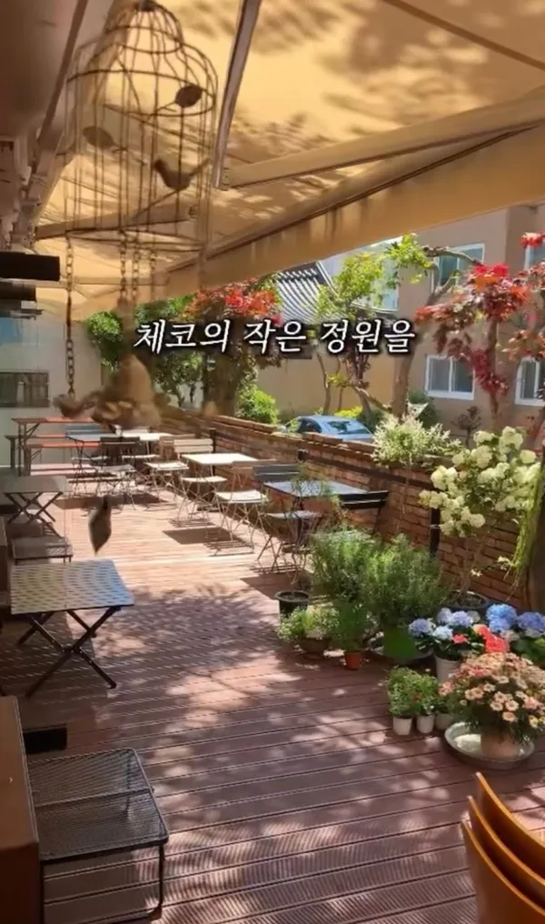 스아로운 사진 2