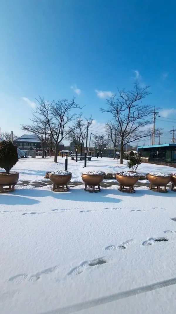 チンポヘヤンテマ公園の写真4