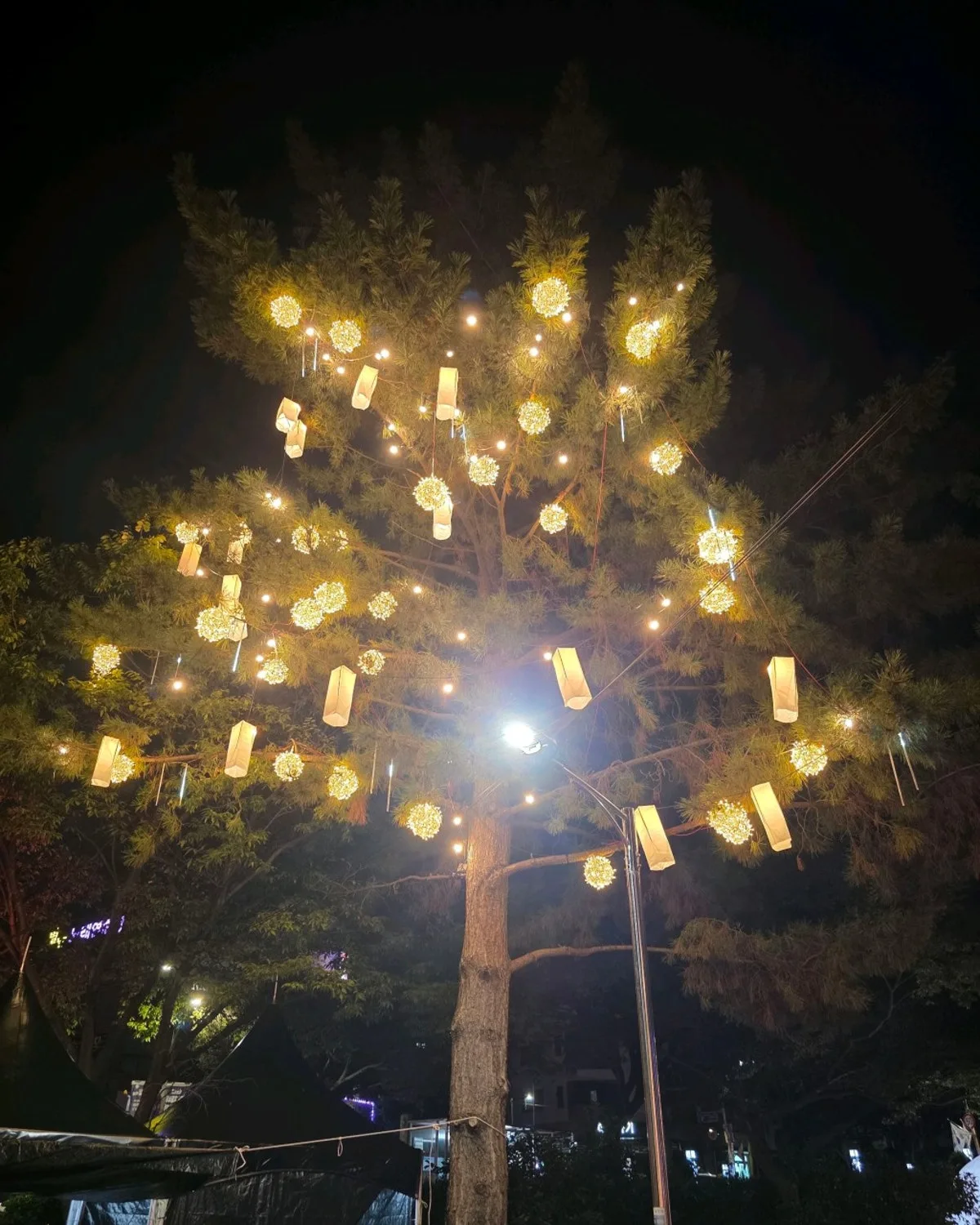 シンサン公園のメイン写真