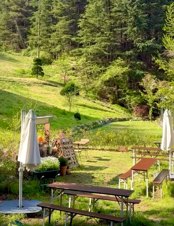 카페 만디 cafe mandi 사진 3