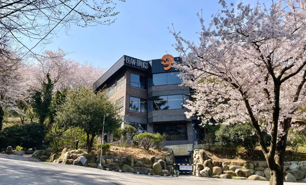 빈드럭스 대표 사진