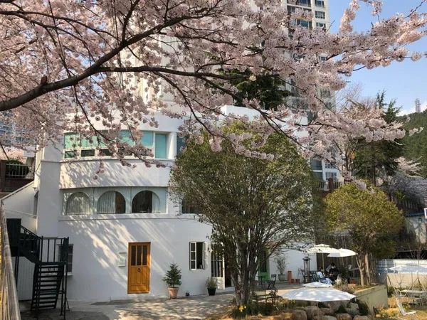 듀스포레 사진 2