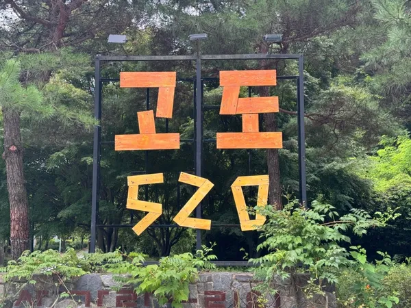 고도520 사진 5