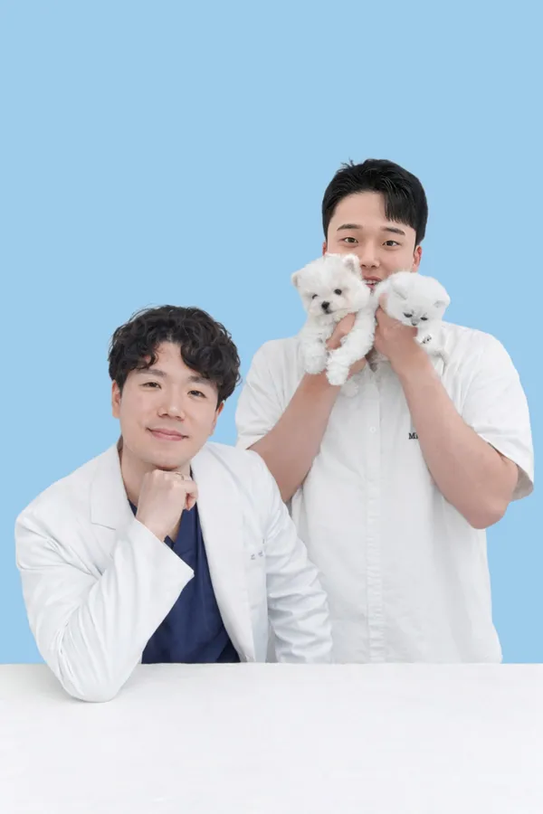 미유펫 서울점 사진 2