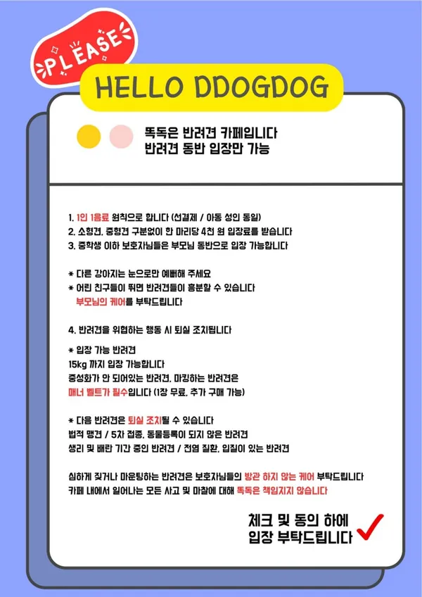 똑독 사진 2