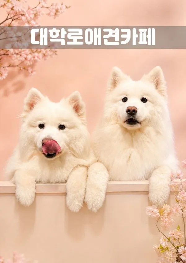 Daehangno Aegyeon Cafe, photo 2