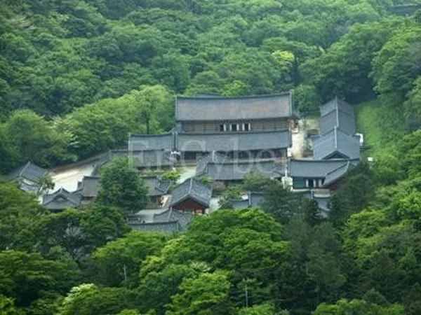 백양사 사진 2