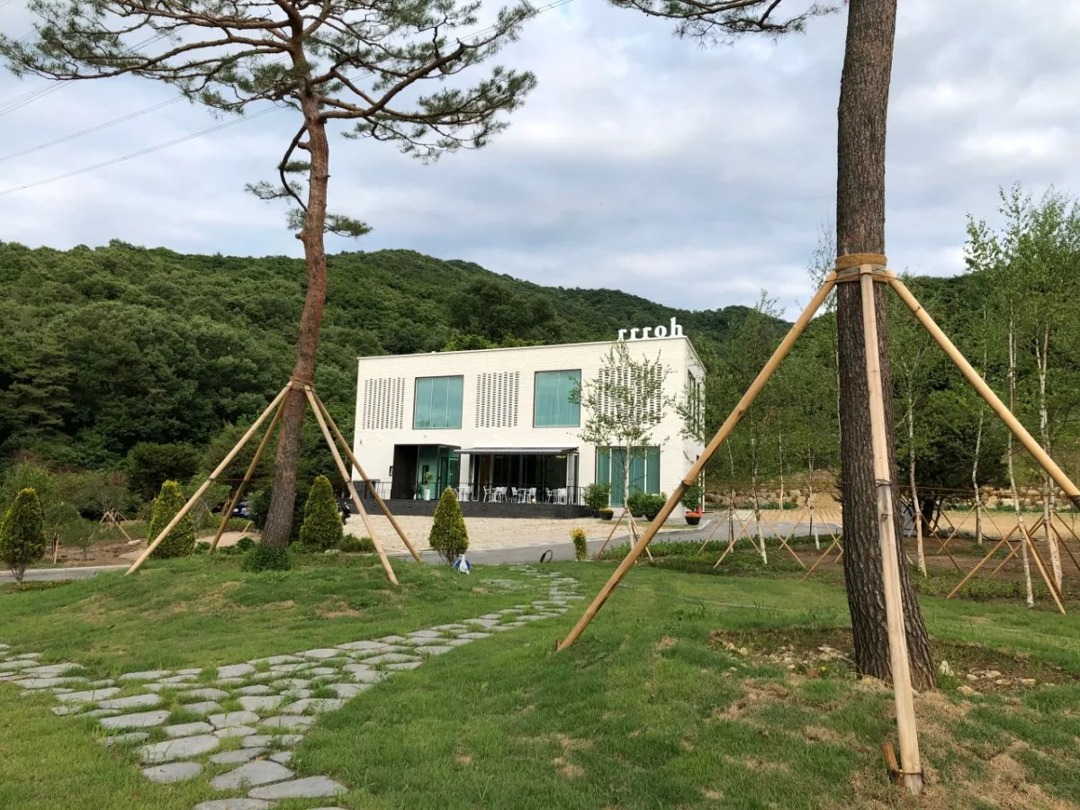 로 대표 사진