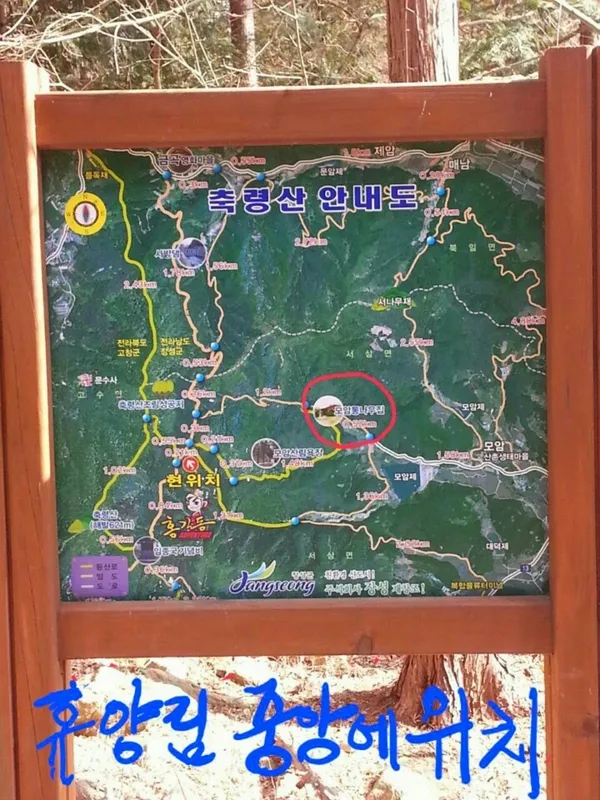 축령산삼나무편백숲 사진 5