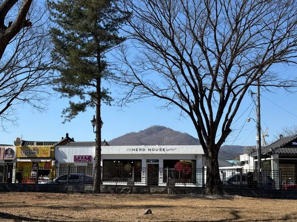 너드하우스 경주 사진 2