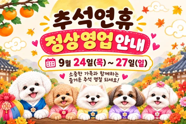 도그힐링 상주견카페 사진 3