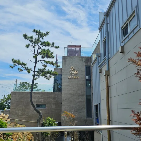 엠아이알오 사진 4