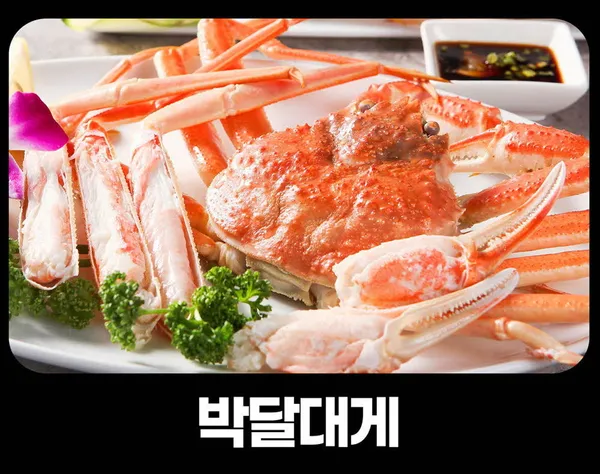 더대박 사진 4