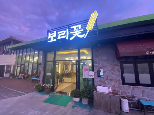 보리꽃 사진 3