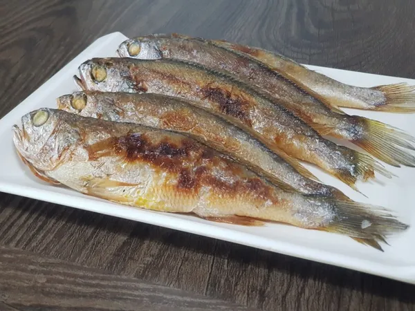진미향 사진 5