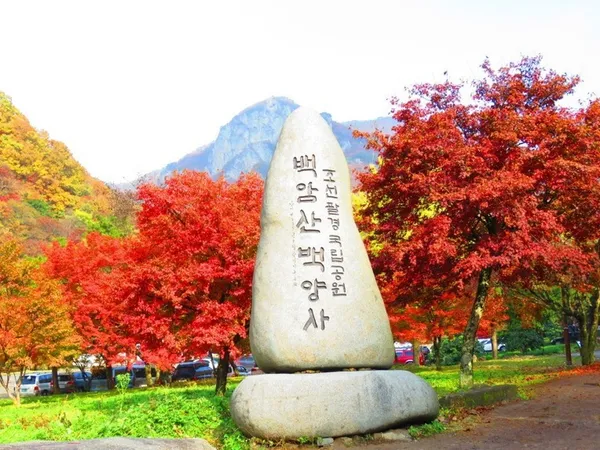백양사 사진 3