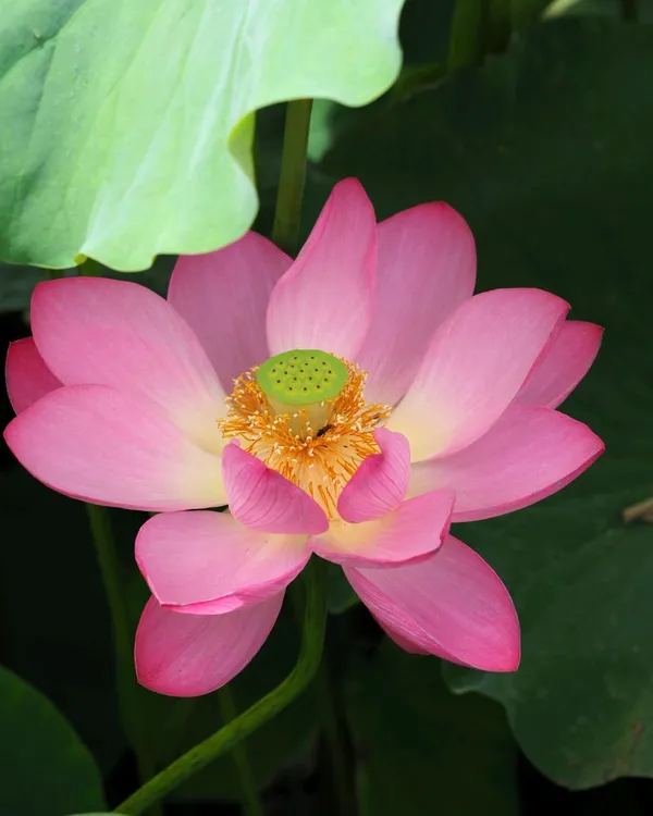 왕송호수 사진 2