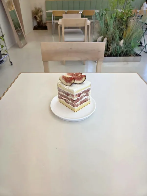 로로 사진 2