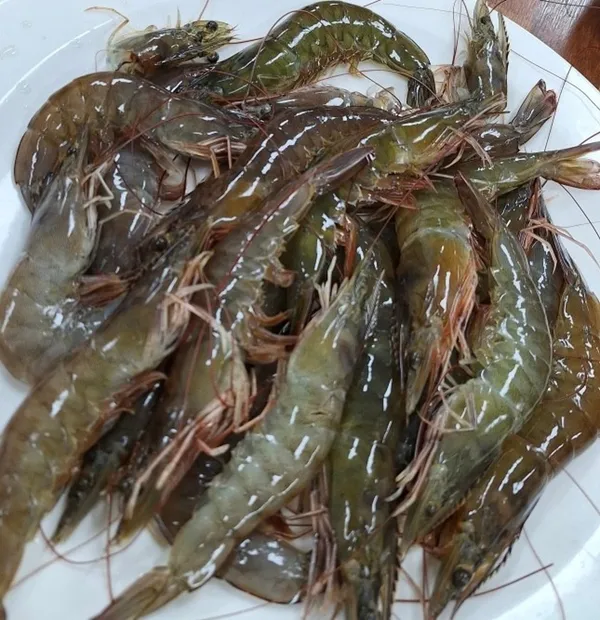 철따라맛따라 사진 3
